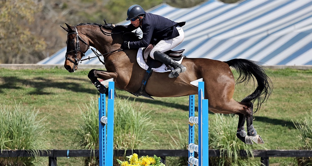 Aaron Vale & Obi Wan Win $25,000 Smart Pak Welcome CSI 2* at Hits Ocala ...