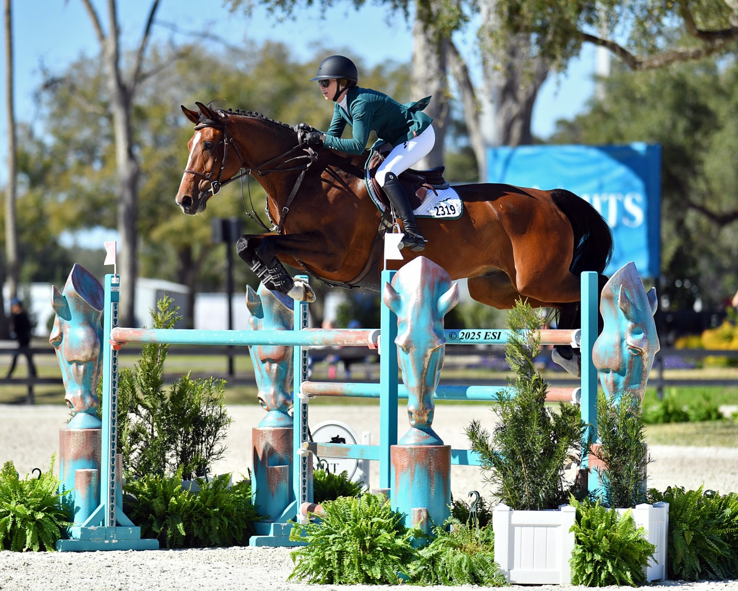 Hayley Waters Wear & Over Lux Lead Team USA as Two Pairs Finish Amongst ...