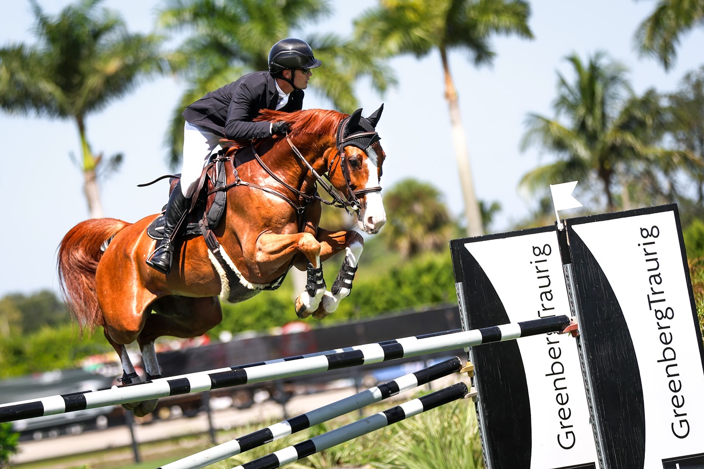 Tanner Korotkin & Cardozo 4 Claim the Crown in the $24,999 Haig ...